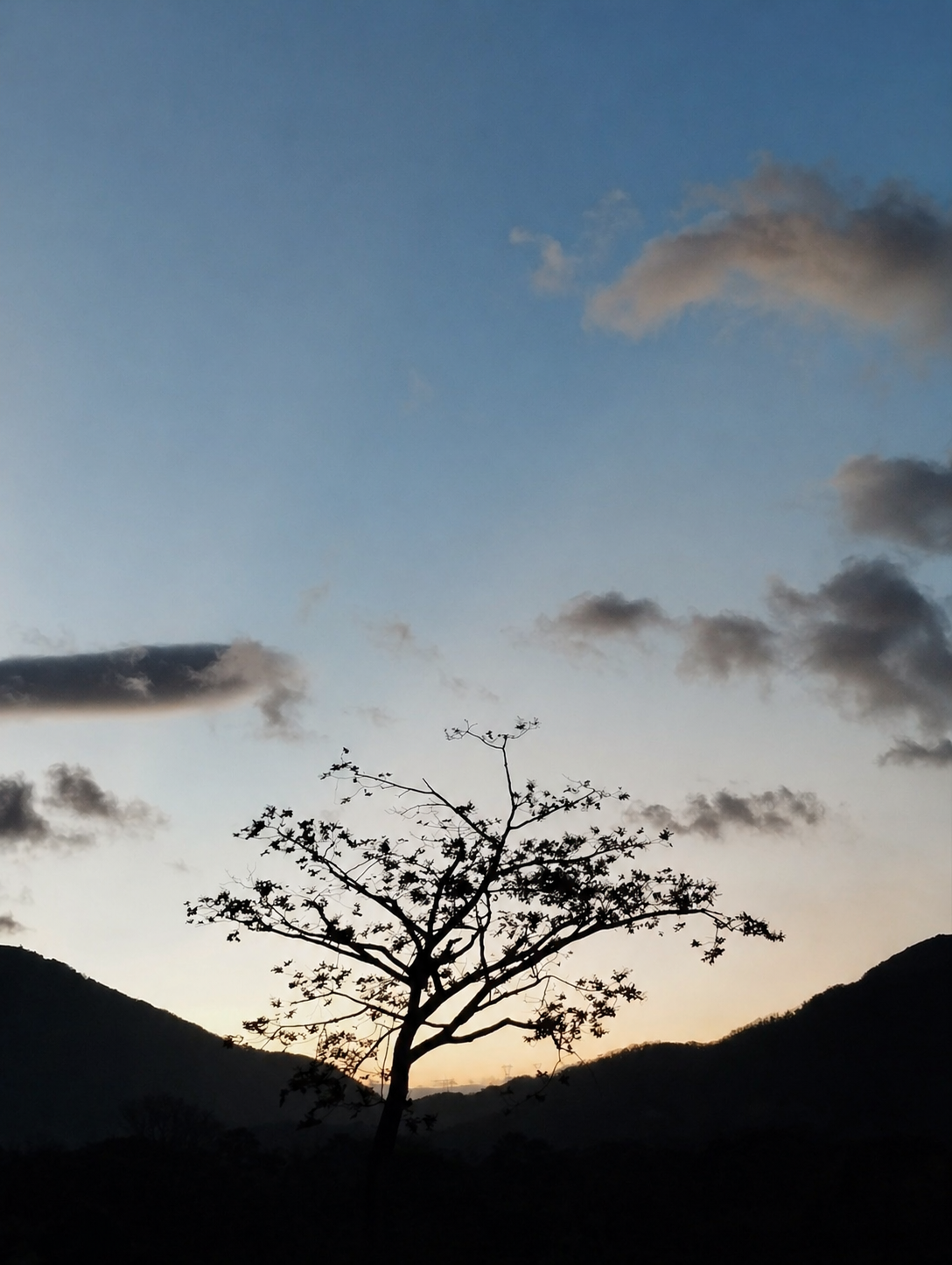 Árvore em silhueta entre montanhas ao entardecer